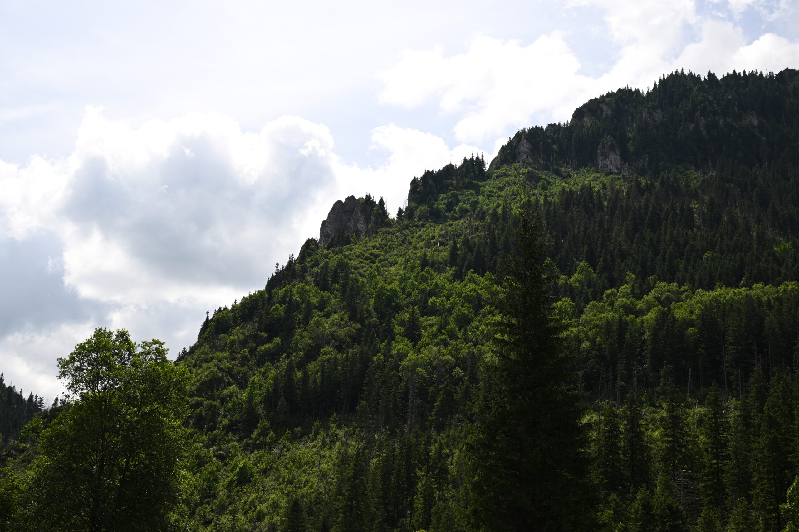2026_07_25_Dolina_Koscieliska_081