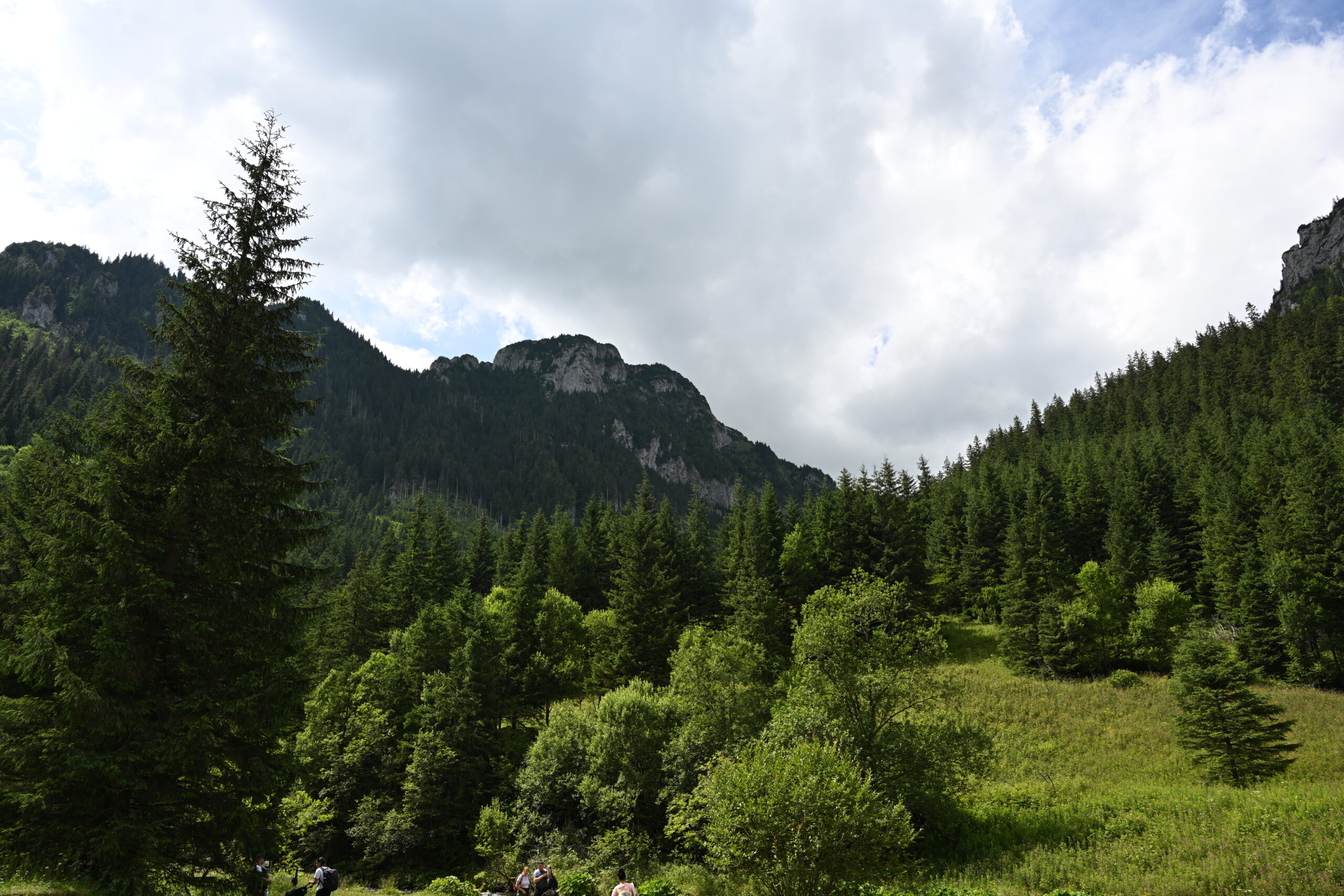 2026_07_25_Dolina_Koscieliska_083