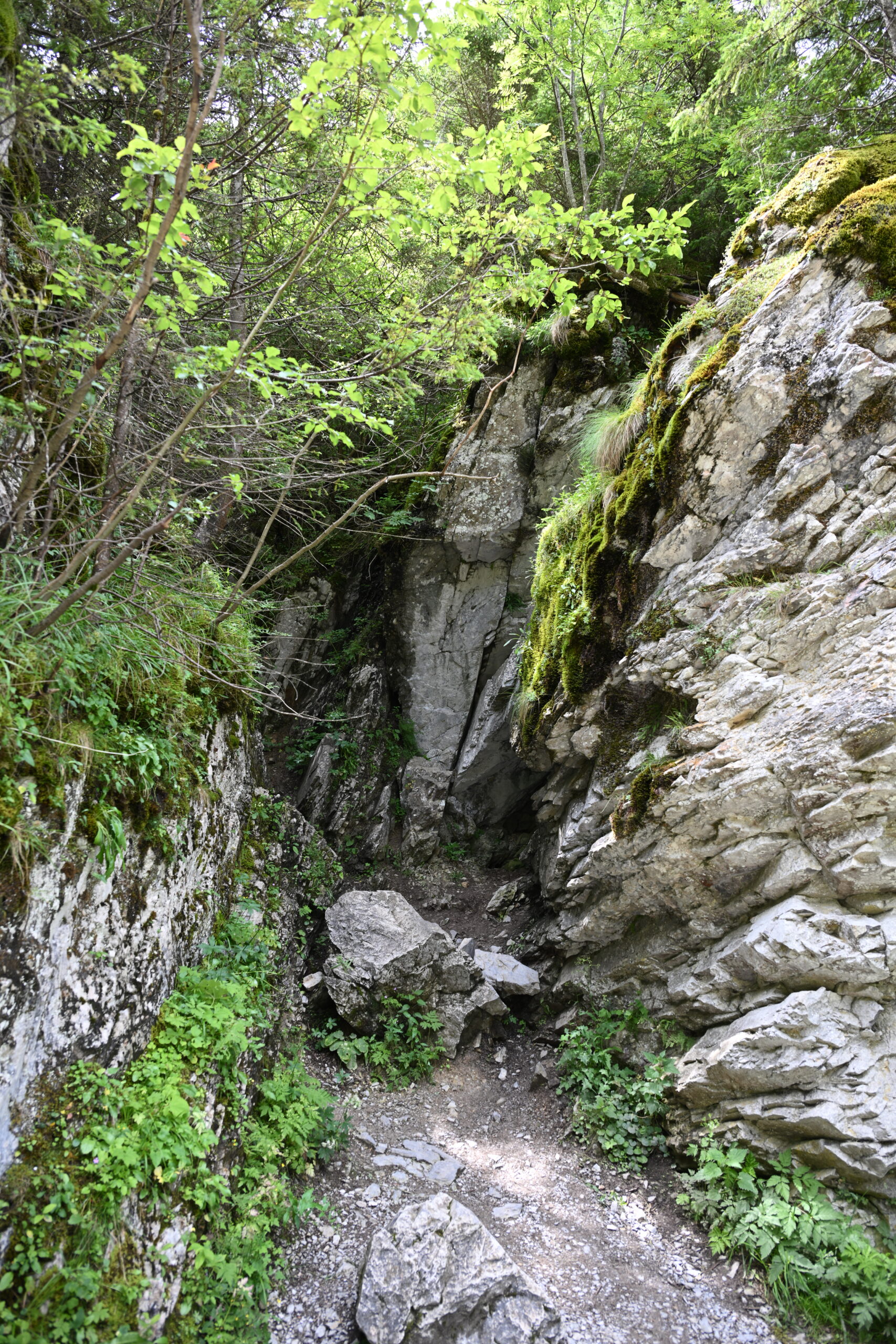 2026_07_25_Dolina_Koscieliska_096