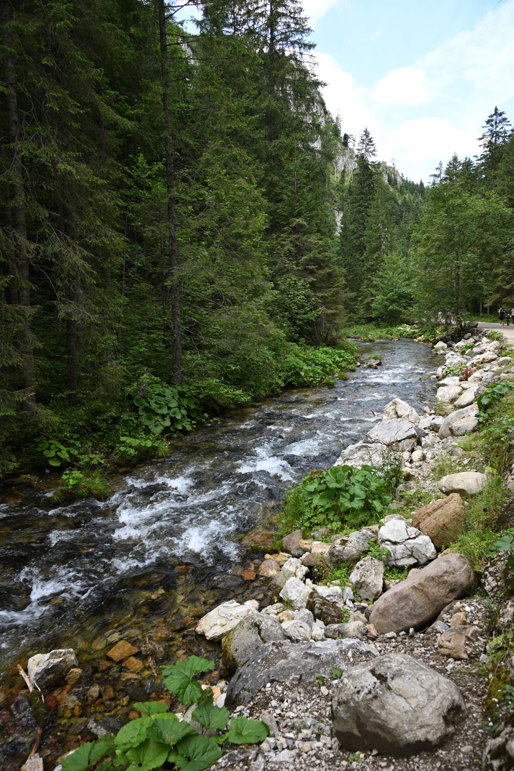 2026_07_25_Dolina_Koscieliska_121