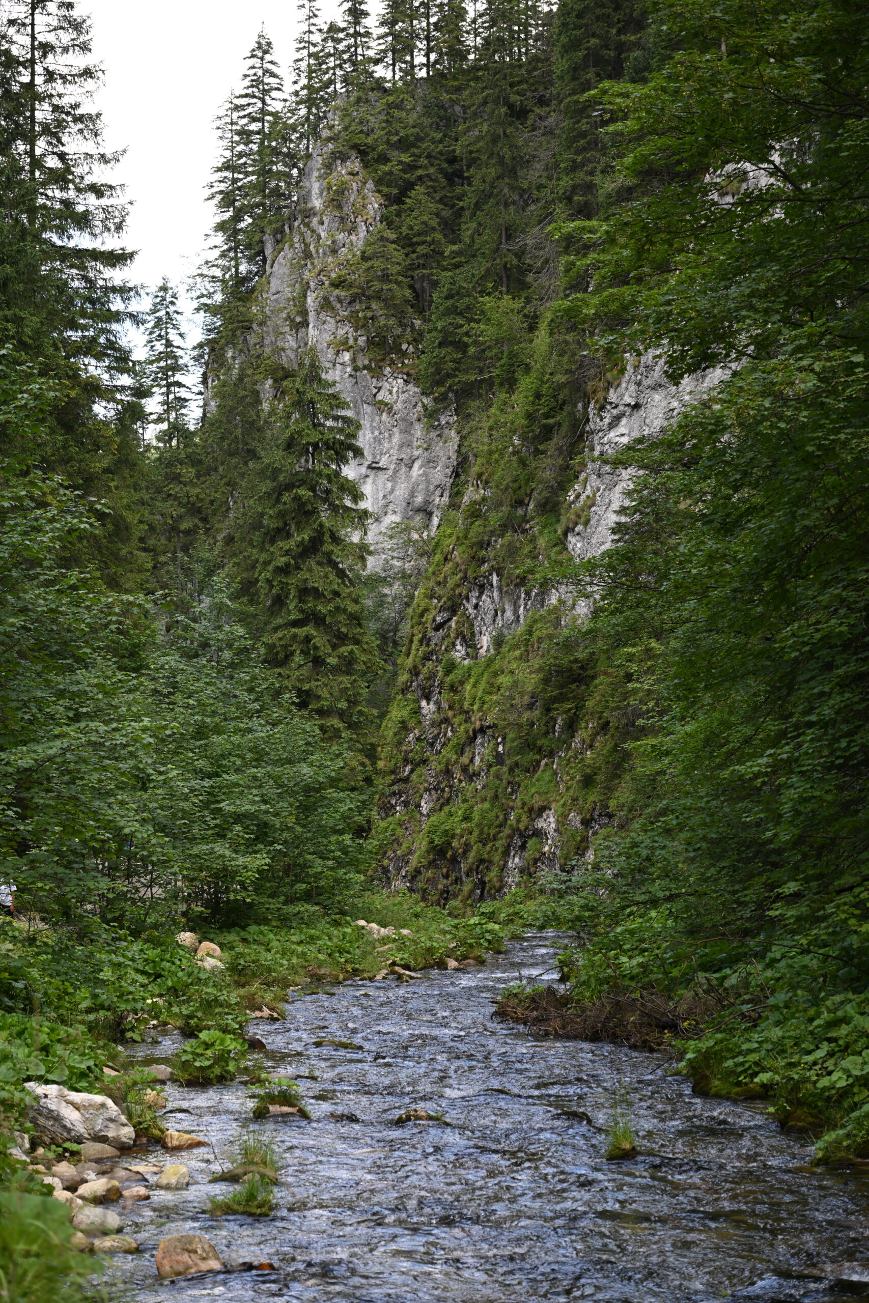2026_07_25_Dolina_Koscieliska_126