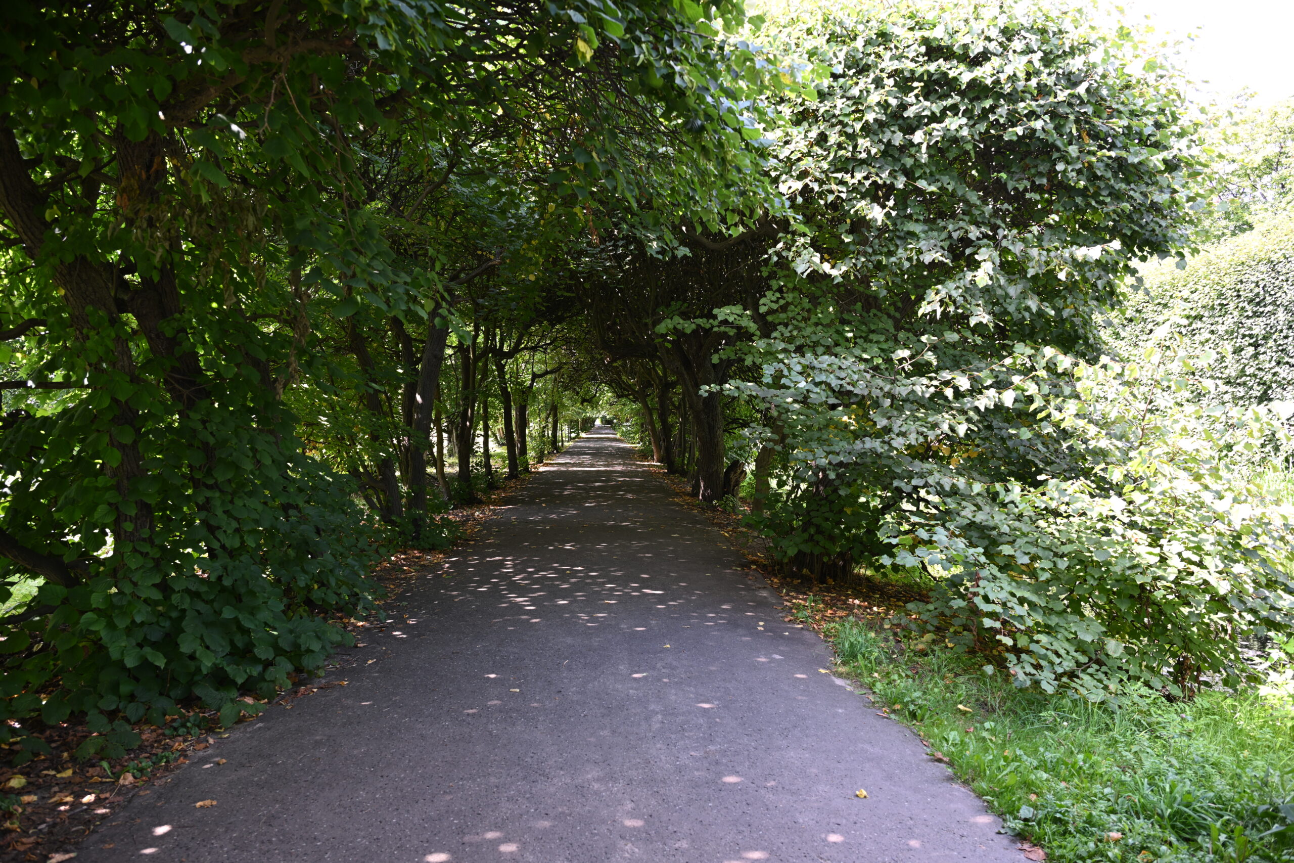 2026_08_09_Park_Oliwski_01