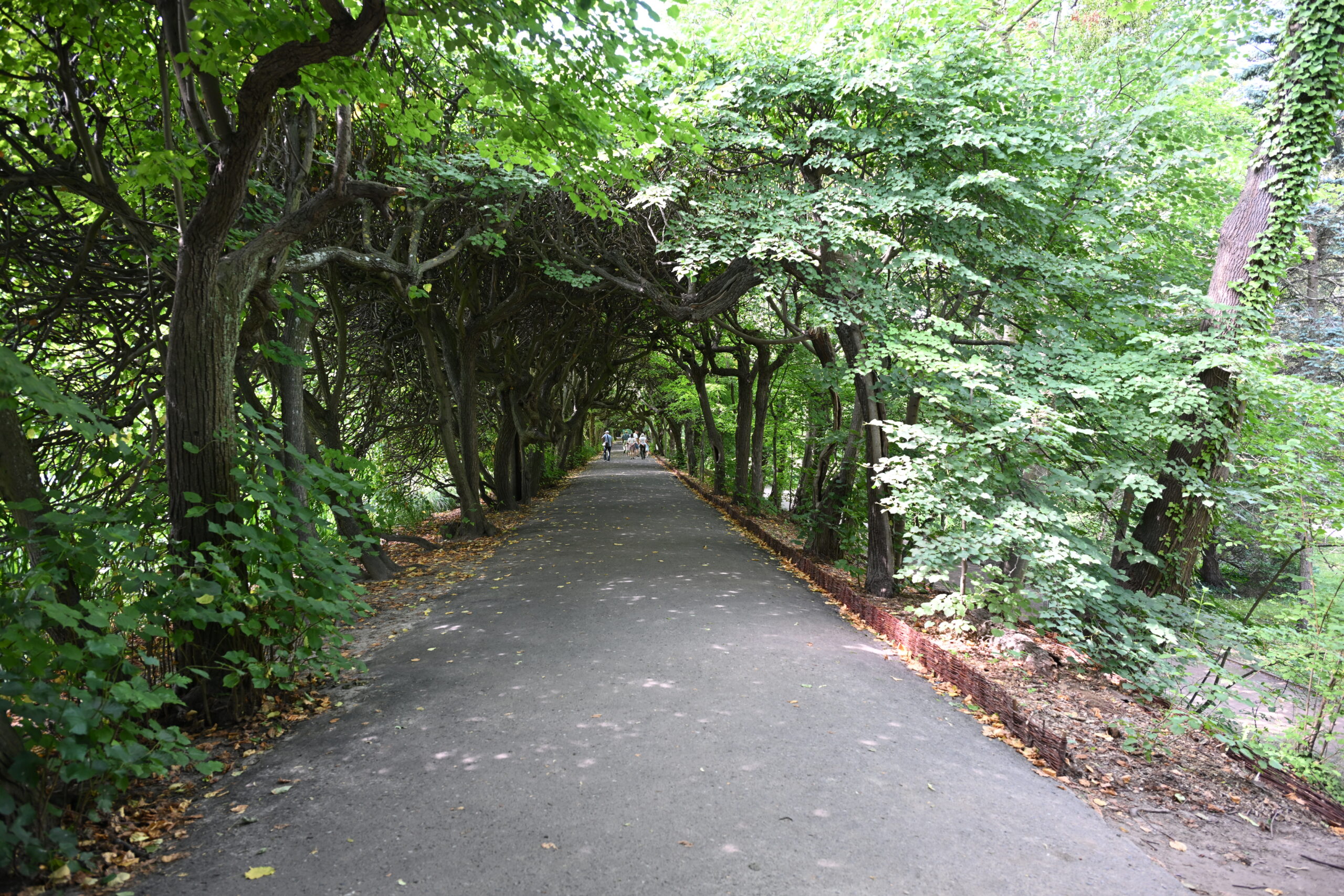 2026_08_09_Park_Oliwski_05