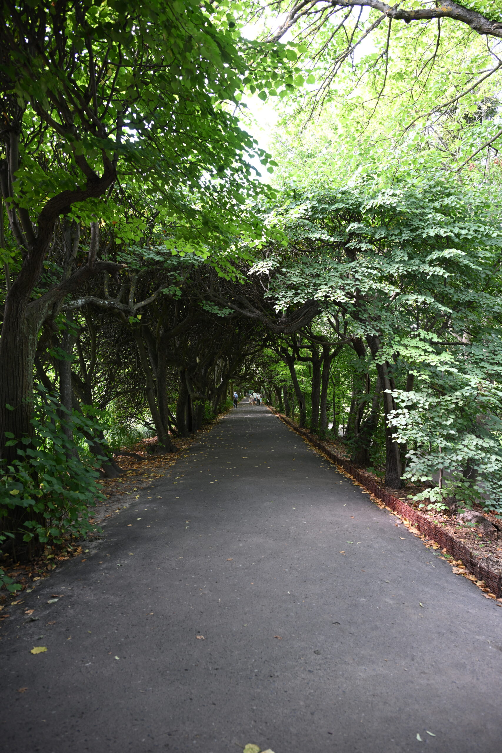 2026_08_09_Park_Oliwski_06