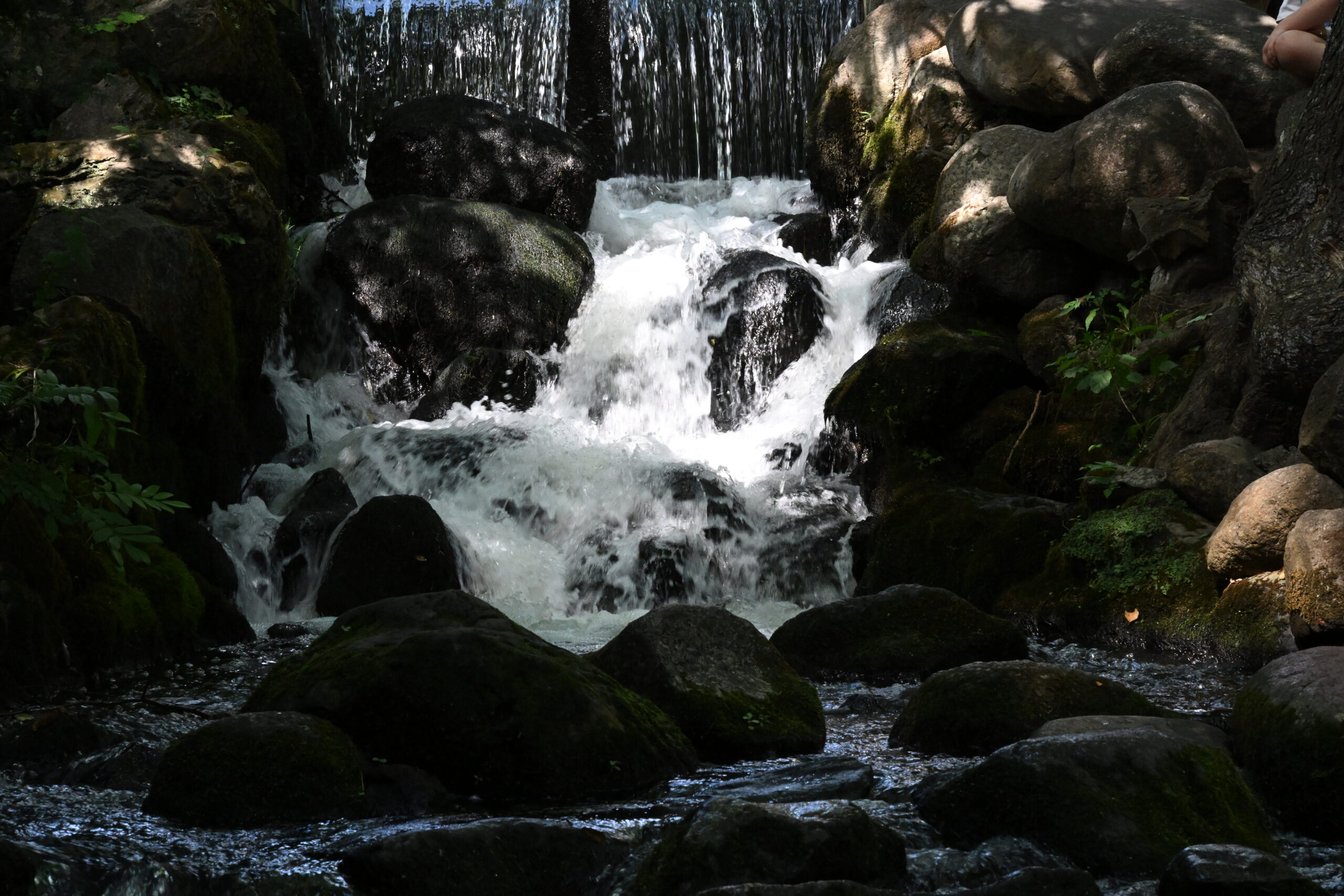 2026_08_09_Park_Oliwski_18