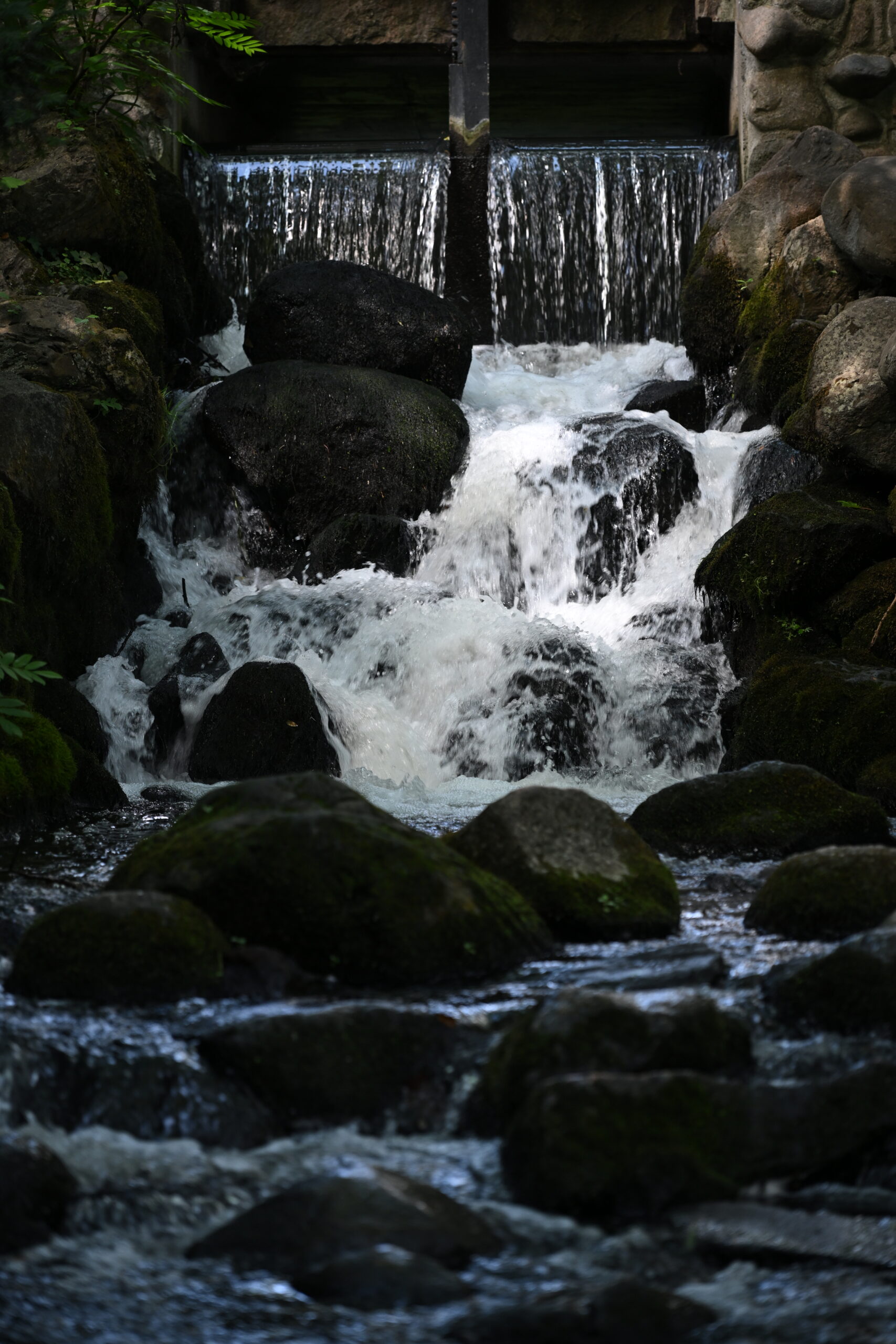 2026_08_09_Park_Oliwski_19