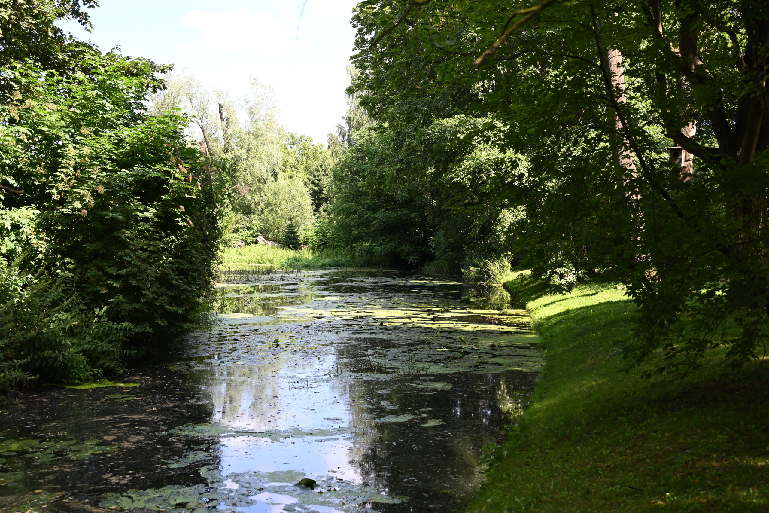 2026_08_09_Park_Oliwski_21