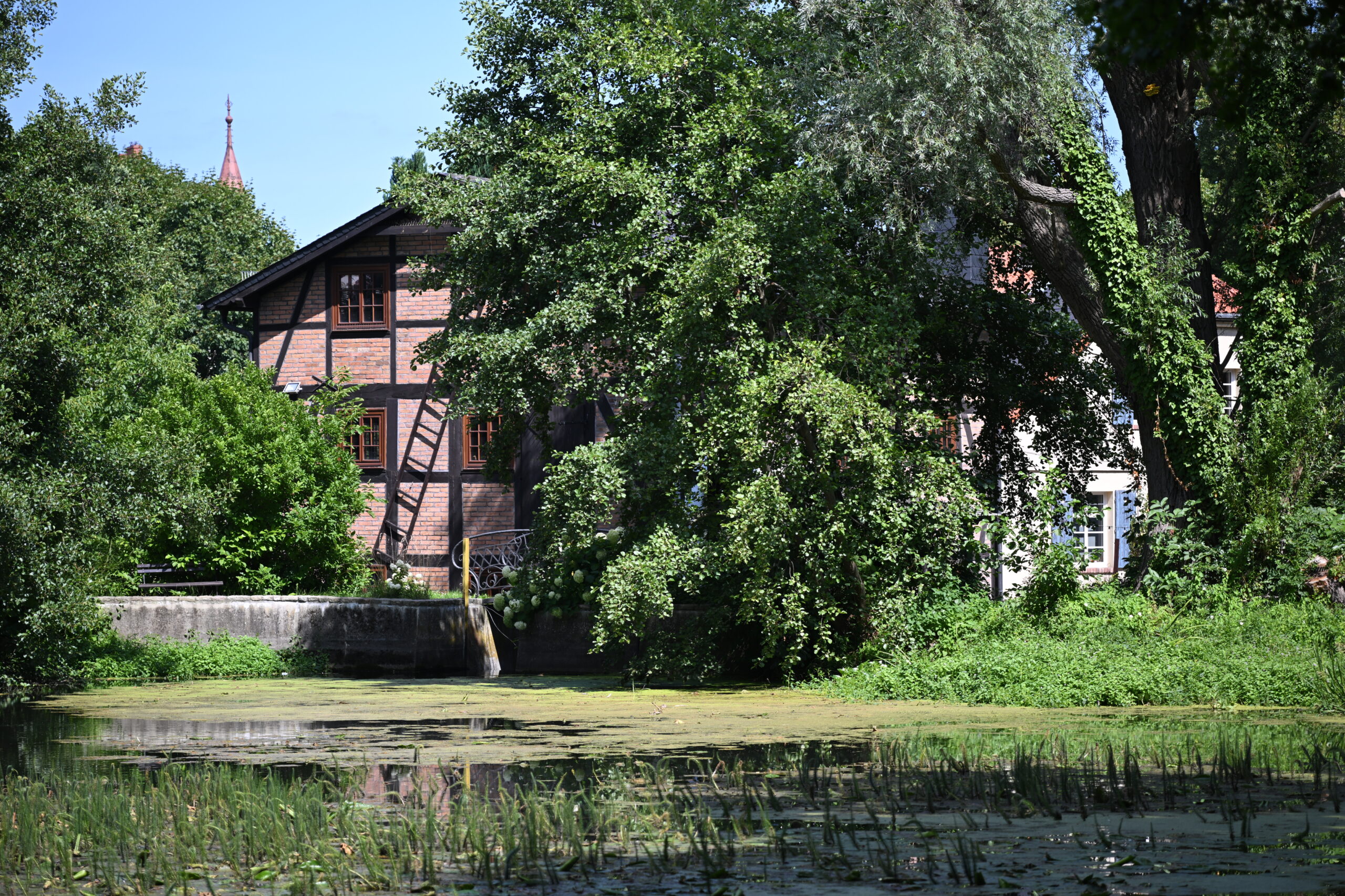 2026_08_09_Park_Oliwski_23