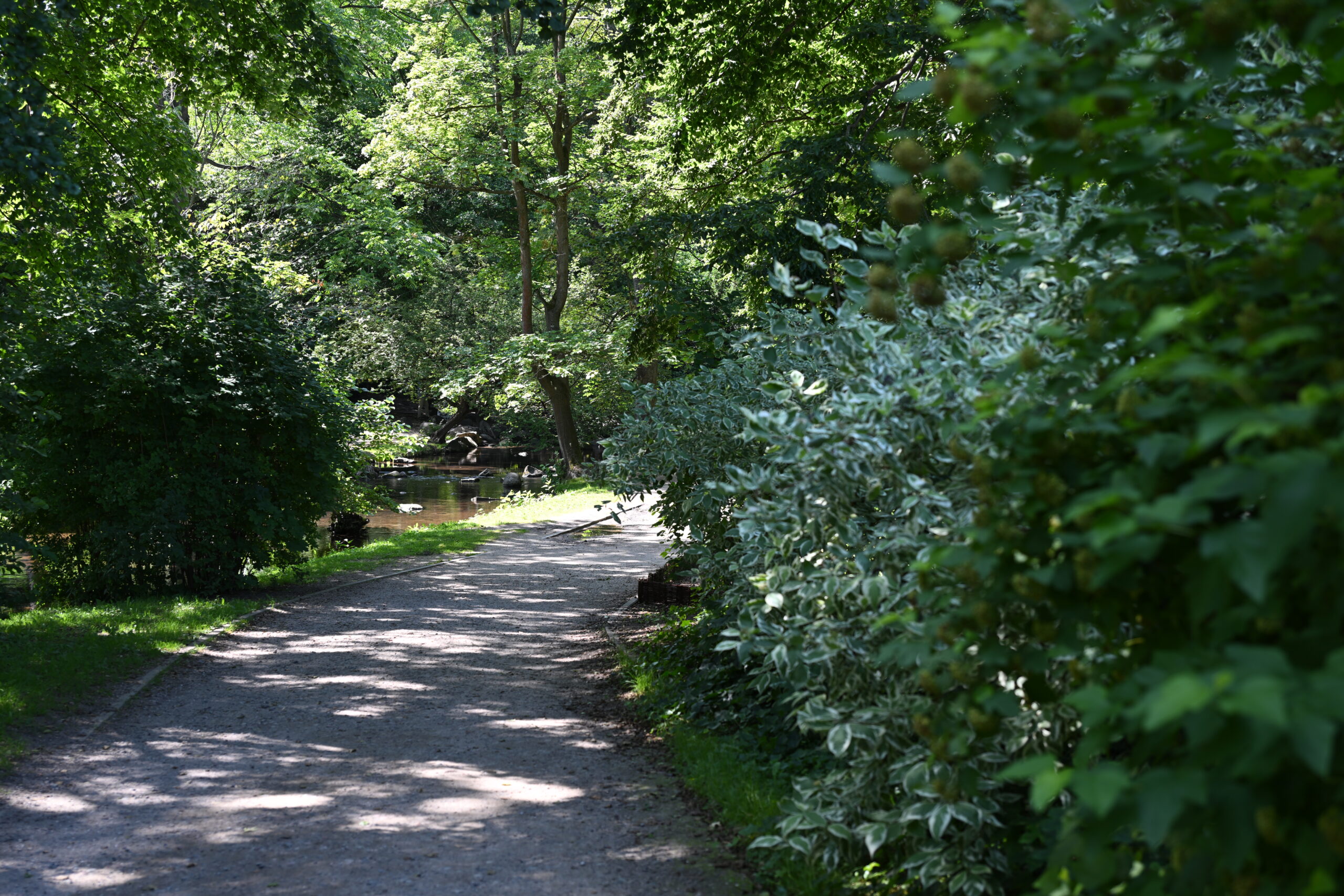 2026_08_09_Park_Oliwski_25
