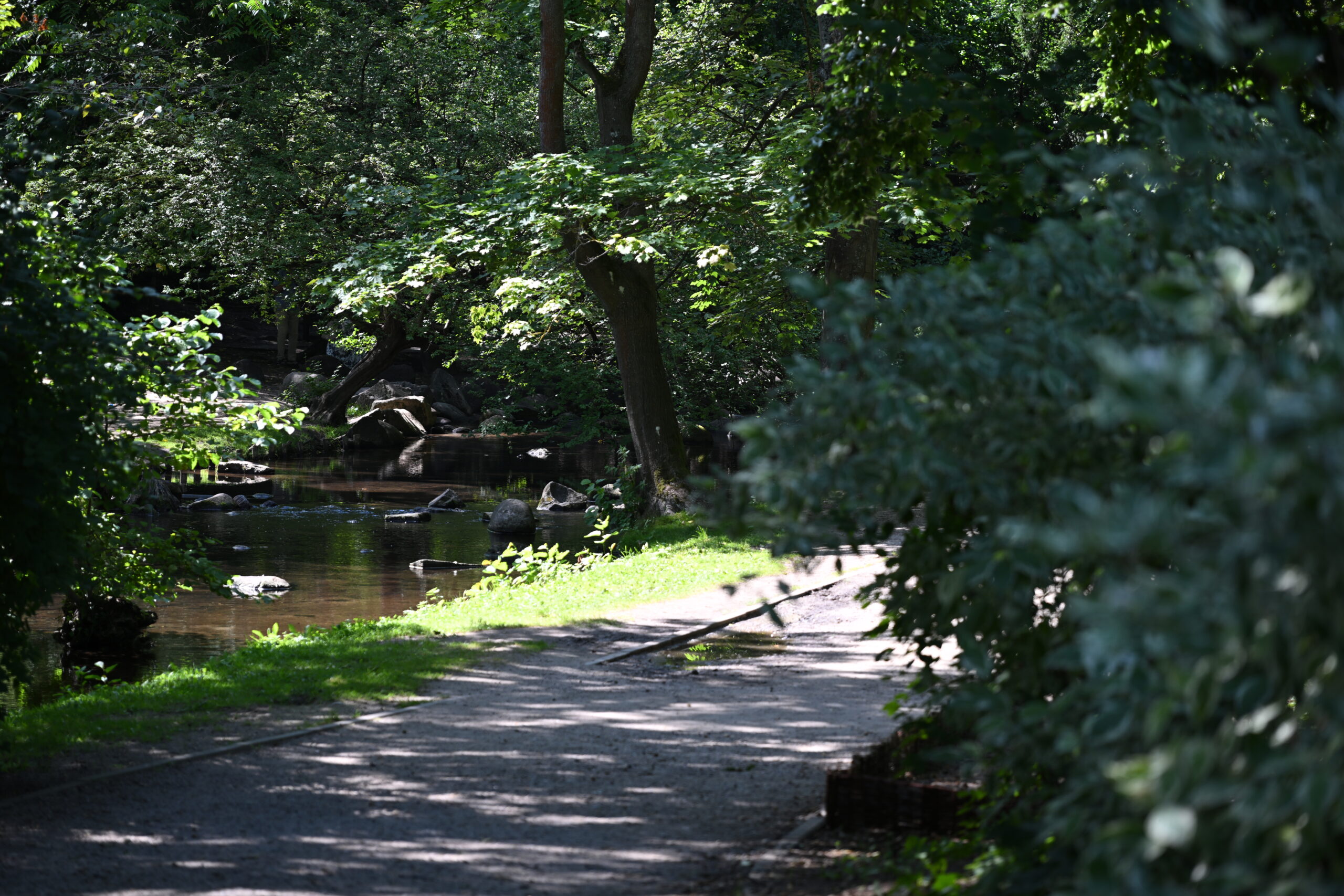 2026_08_09_Park_Oliwski_26