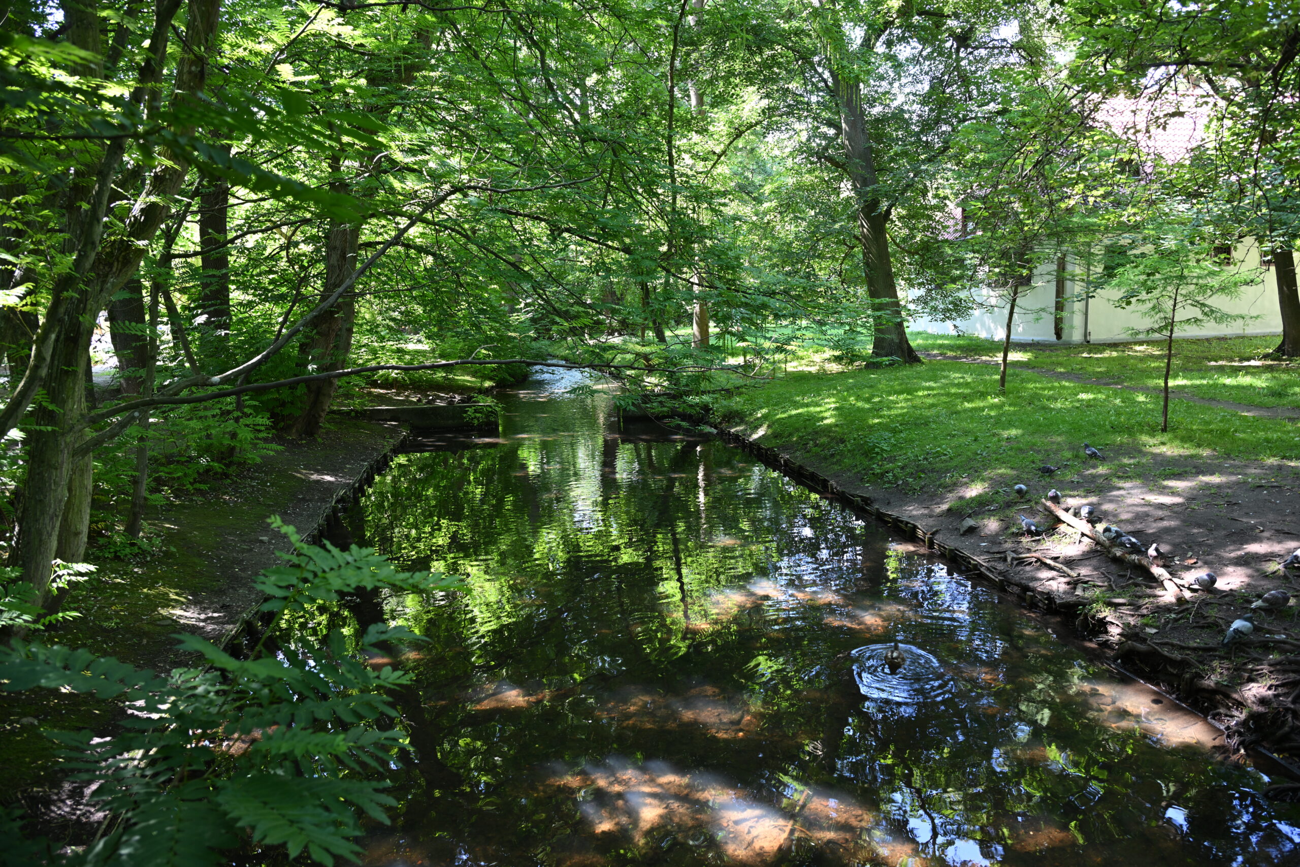 2026_08_09_Park_Oliwski_31