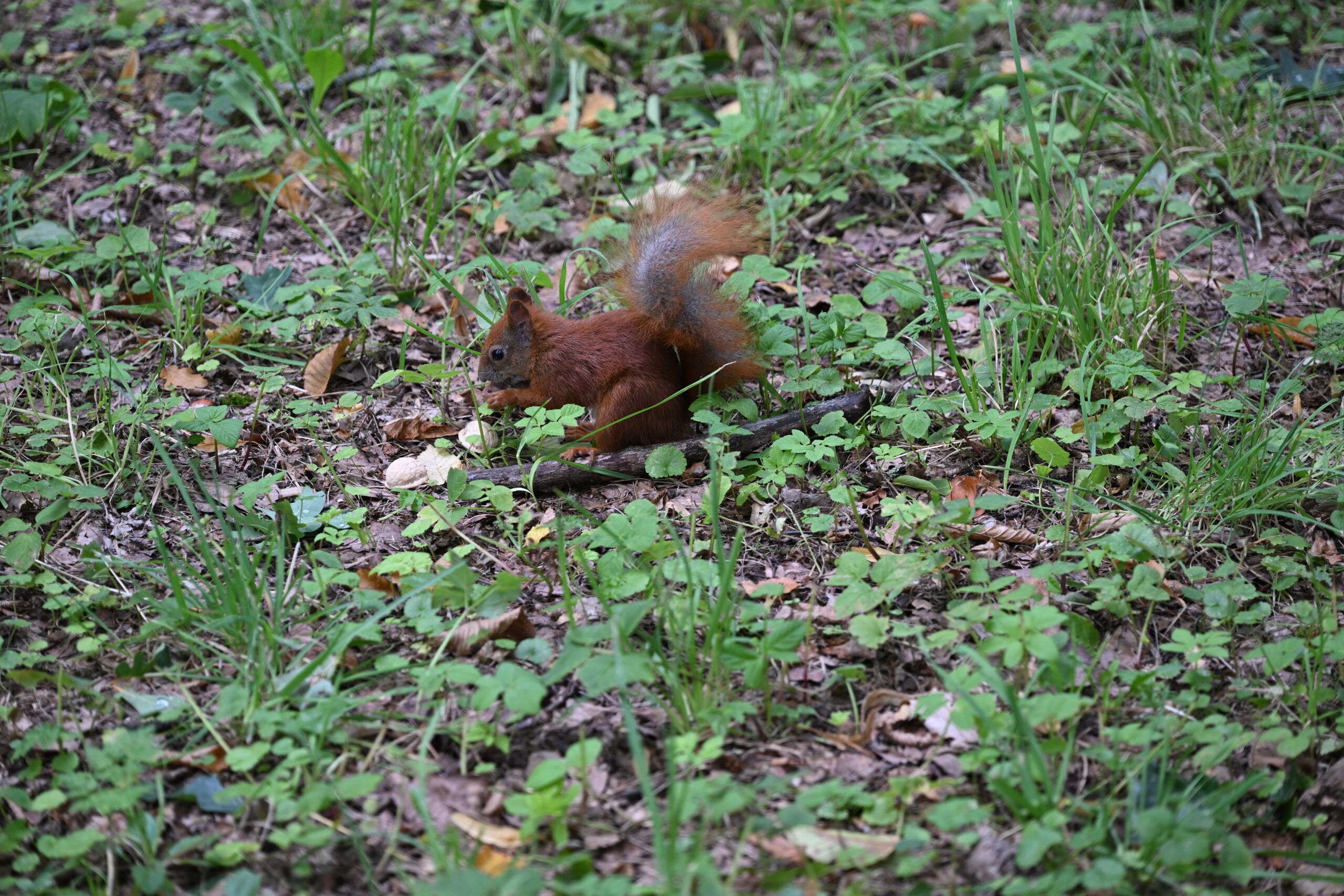 2026_08_23_Warszawa_18