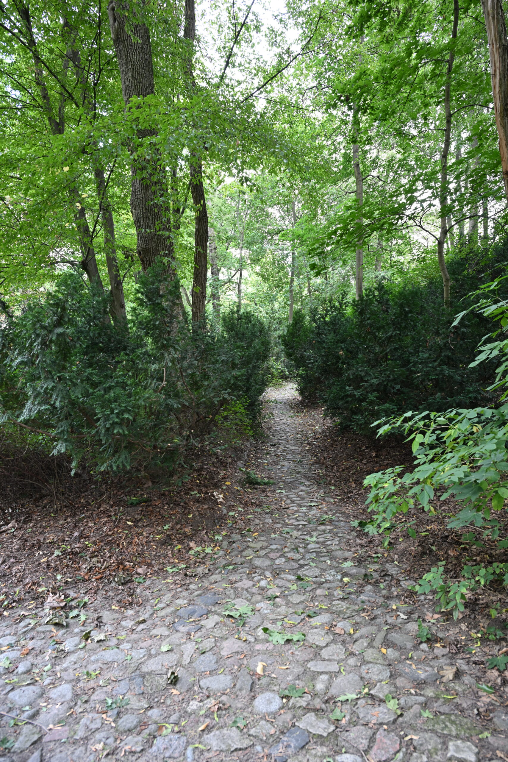 2026_08_23_Warszawa_87