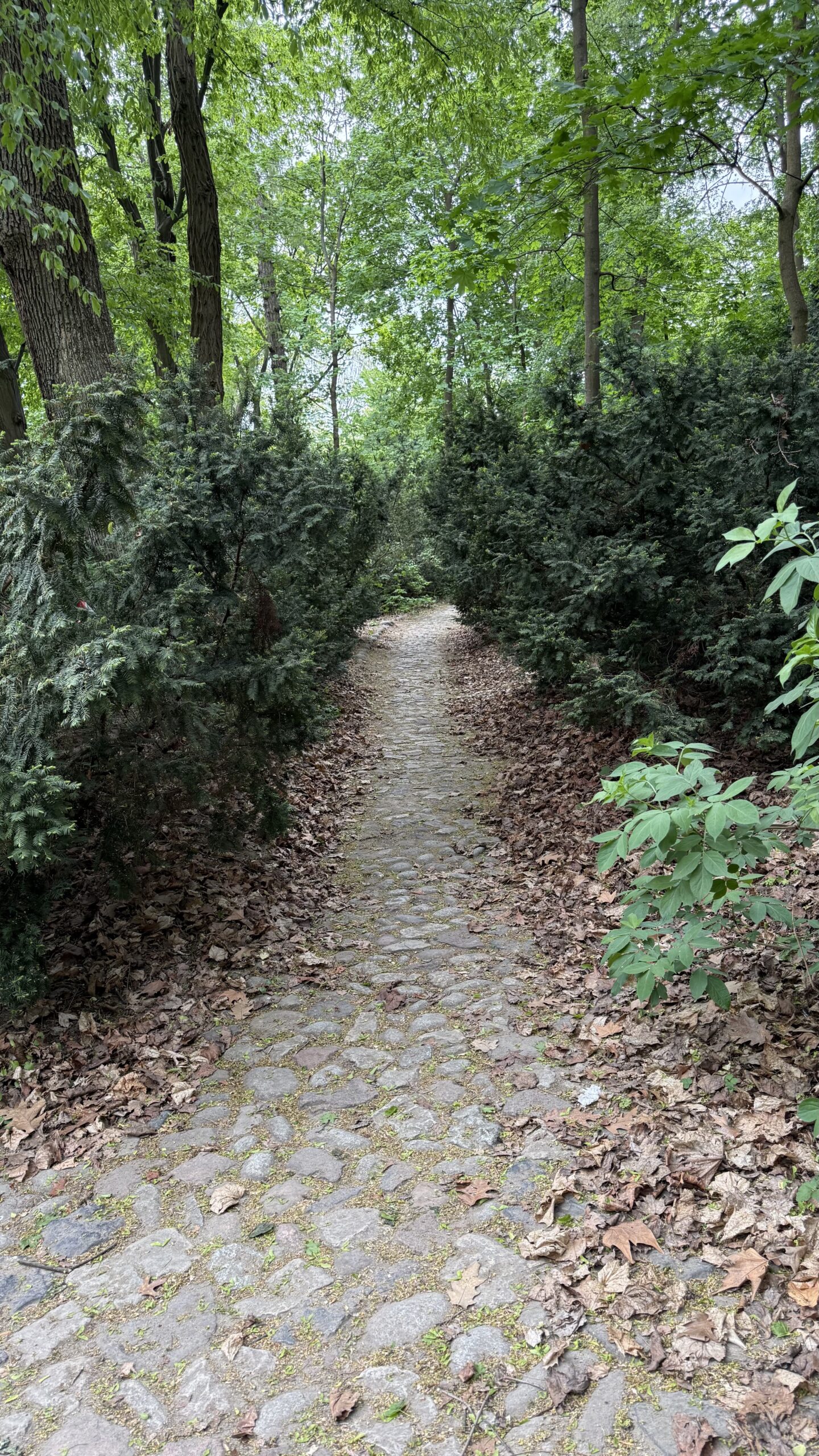 2026_05_09_Warszawa_082