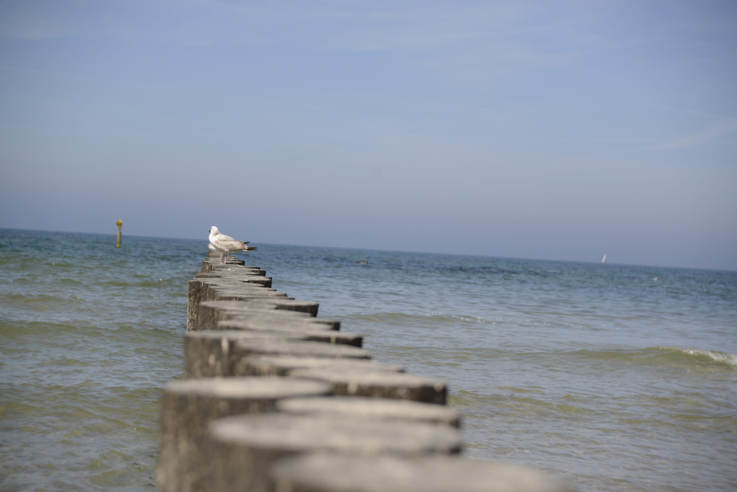 2026_05_23_Ustka_Part_1_02
