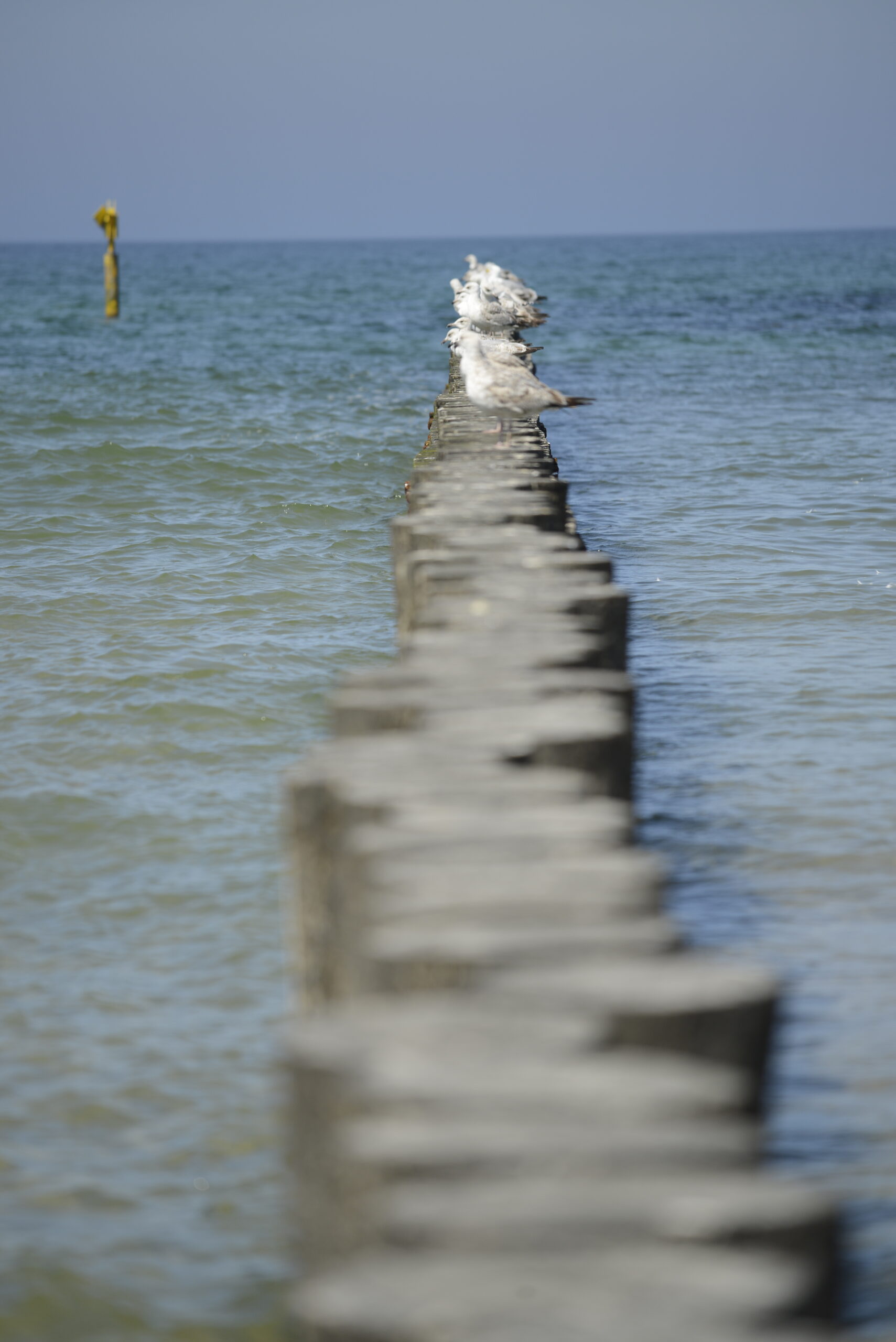 2026_05_23_Ustka_Part_1_07