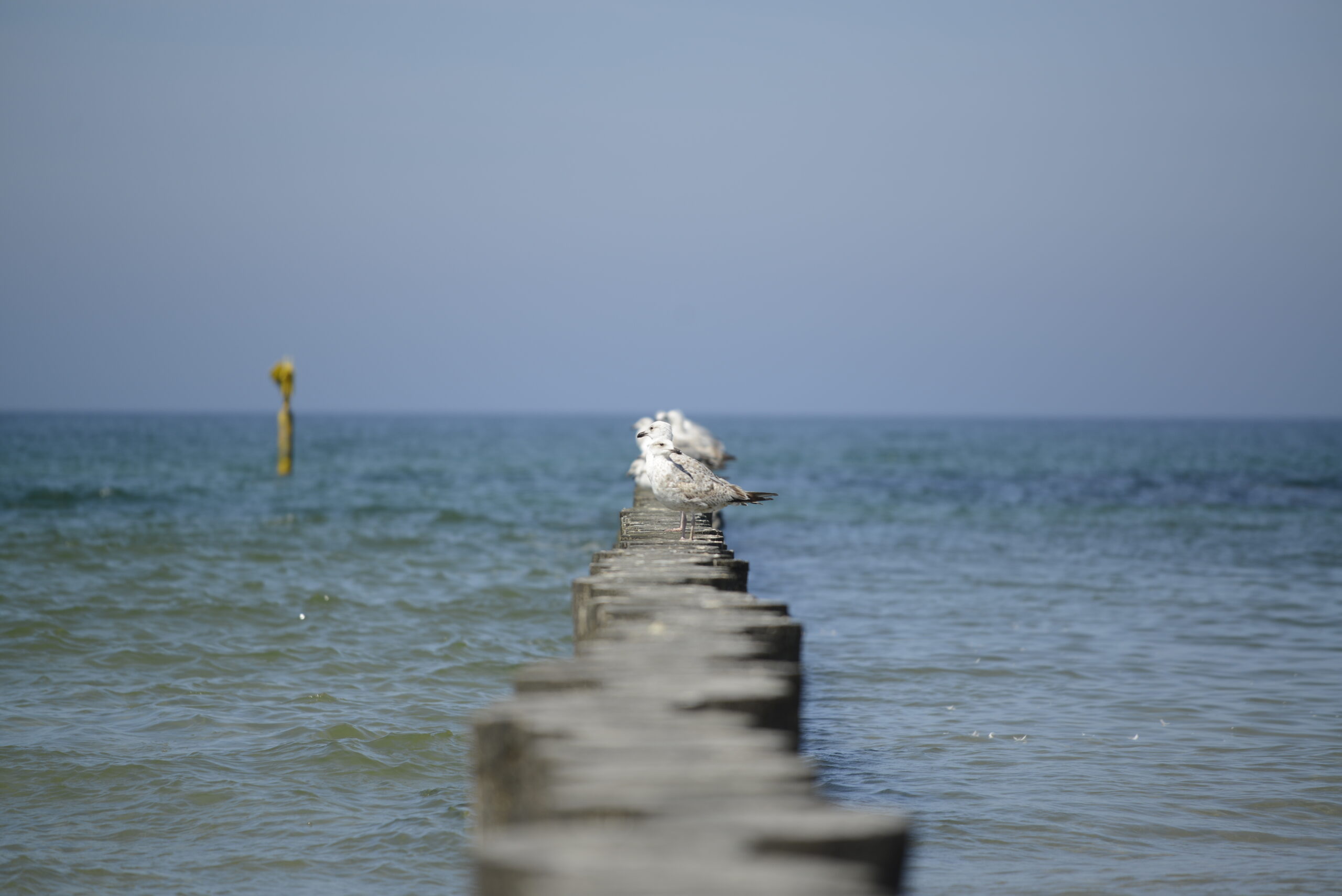 2026_05_23_Ustka_Part_1_09