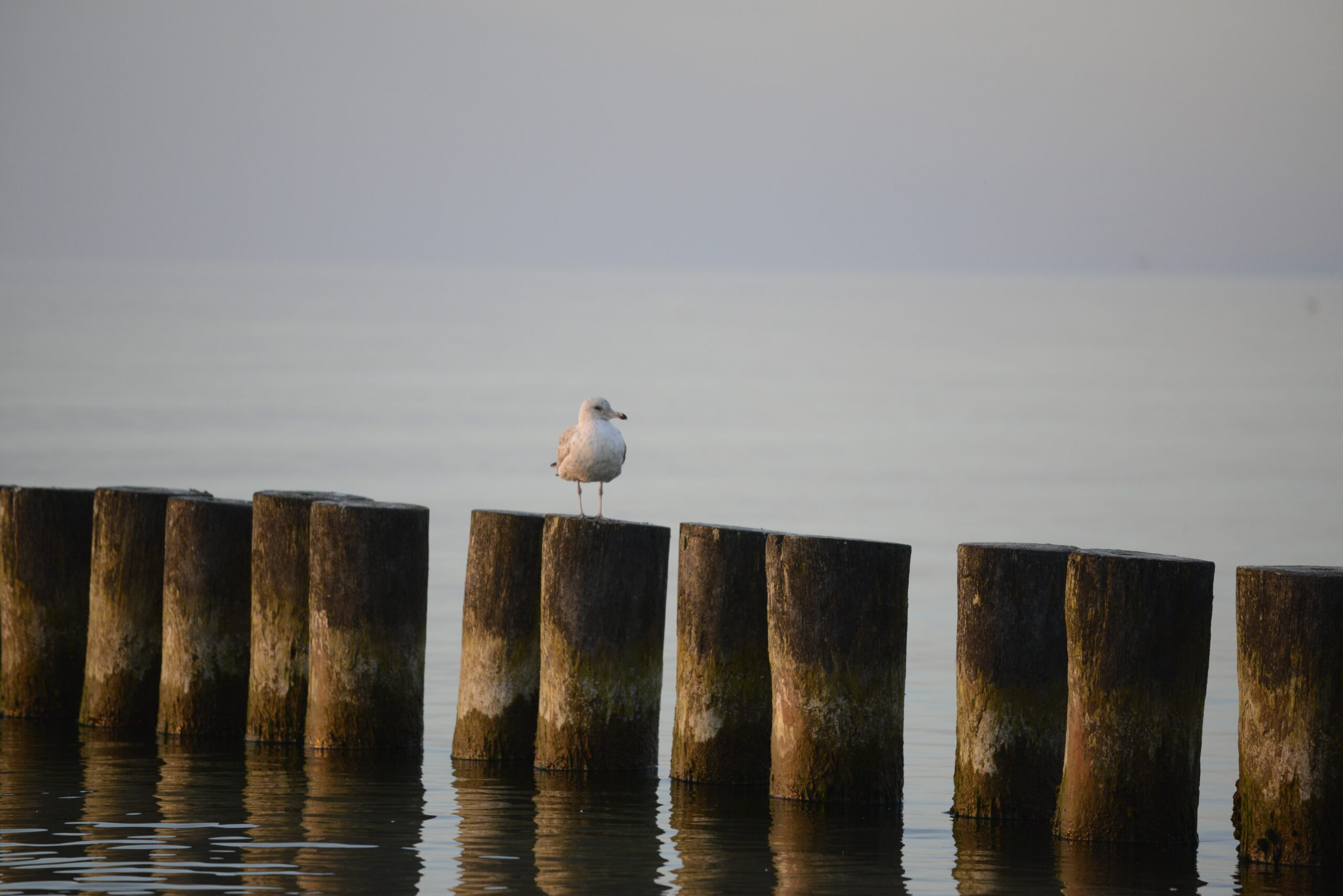 2026_05_23_Ustka_Part_3_19