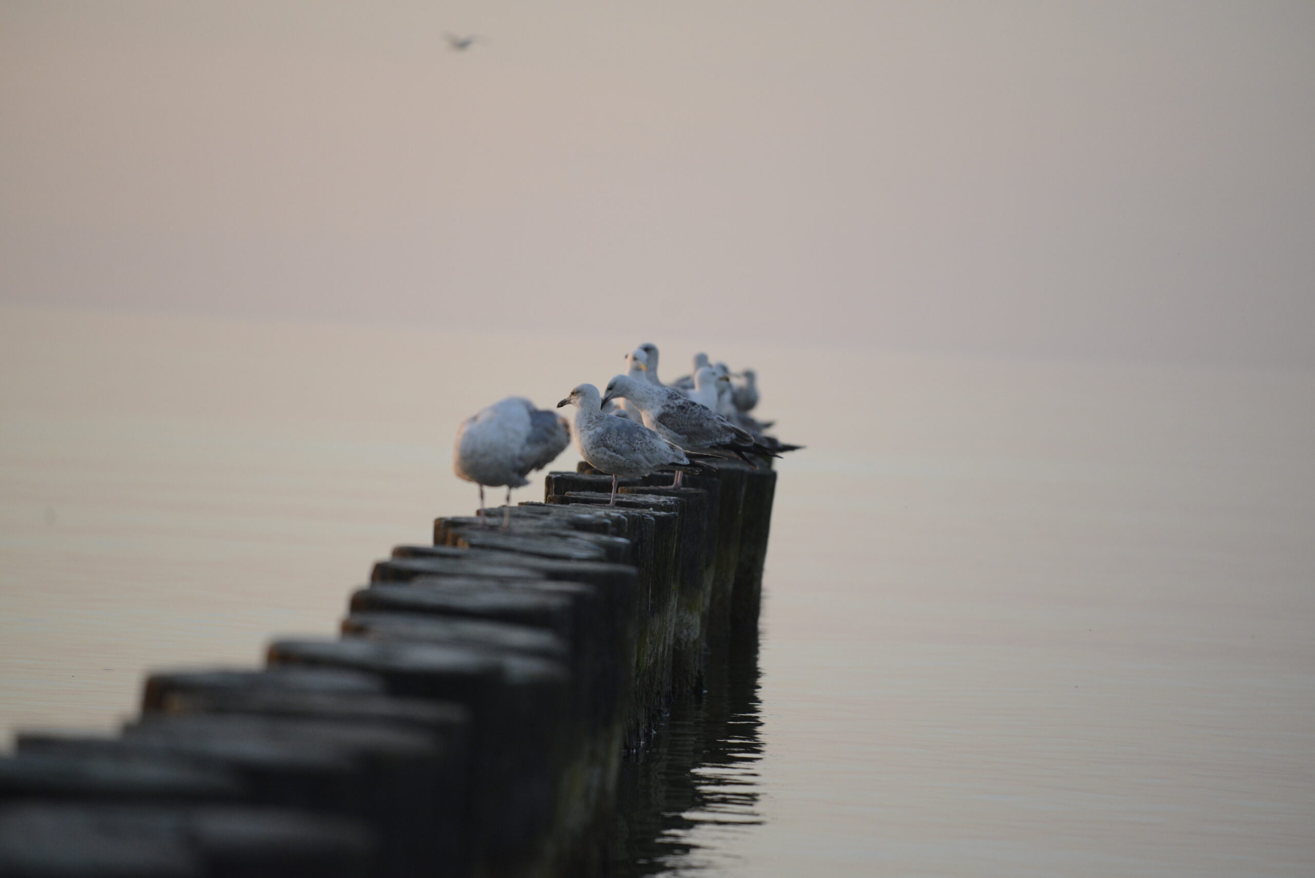 2026_05_23_Ustka_Part_3_21